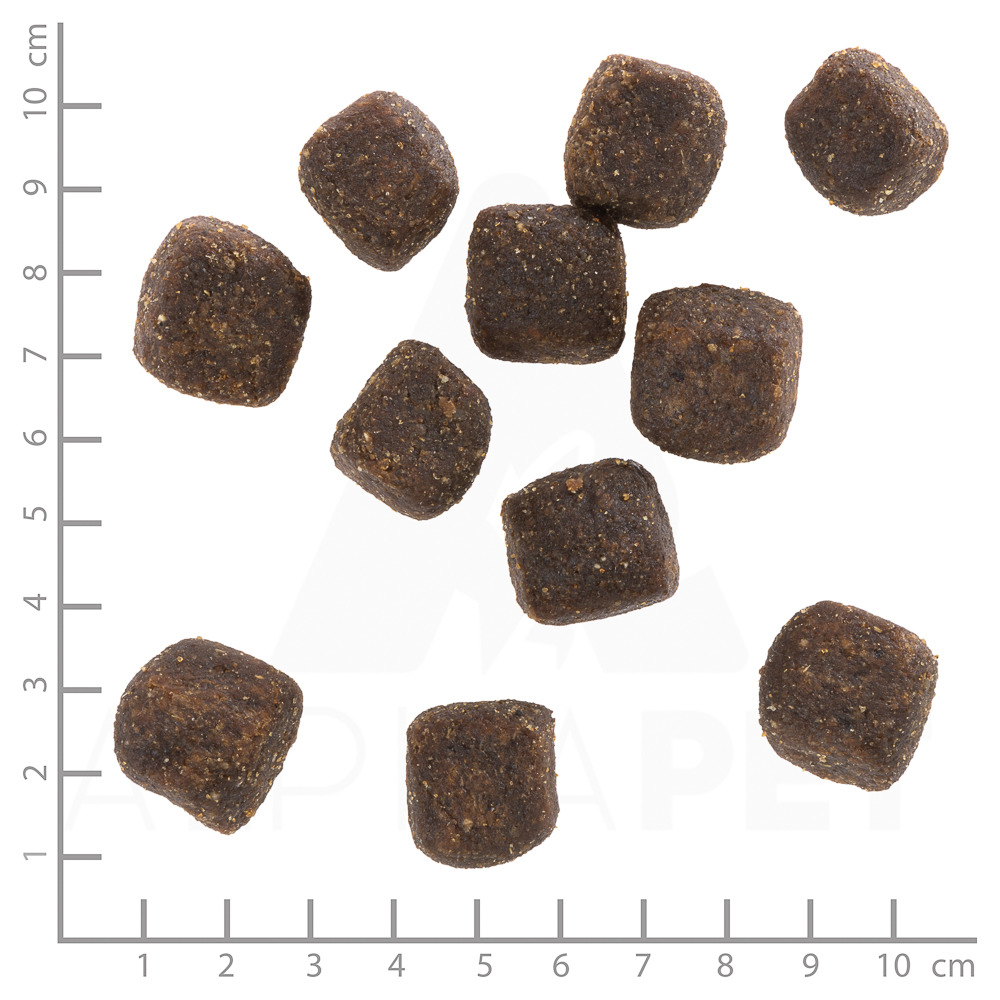 Das Bild zeigt Wolfsblut Trockenfutter für Hunde in der Geschmacksrichtung Wild Duck. Die Zielgruppe sind ausgewachsene Hunde. Die abgebildeten Kroketten sind würfelförmig und dunkelbraun, mit einer Größe von etwa 2 cm. Die Menge ist nicht direkt erkennba