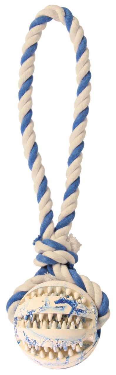 Das Bild zeigt das TRIXIE Spielzeug für Hunde, bestehend aus einem robusten Kauspielzeug mit Zahnreinigungsfunktion und einer geflochtenen Schlaufe aus Baumwollseil in Blau und Weiß. Zielgruppe sind Hunde aller Größen. Das Produkt fördert die Zahnpflege u