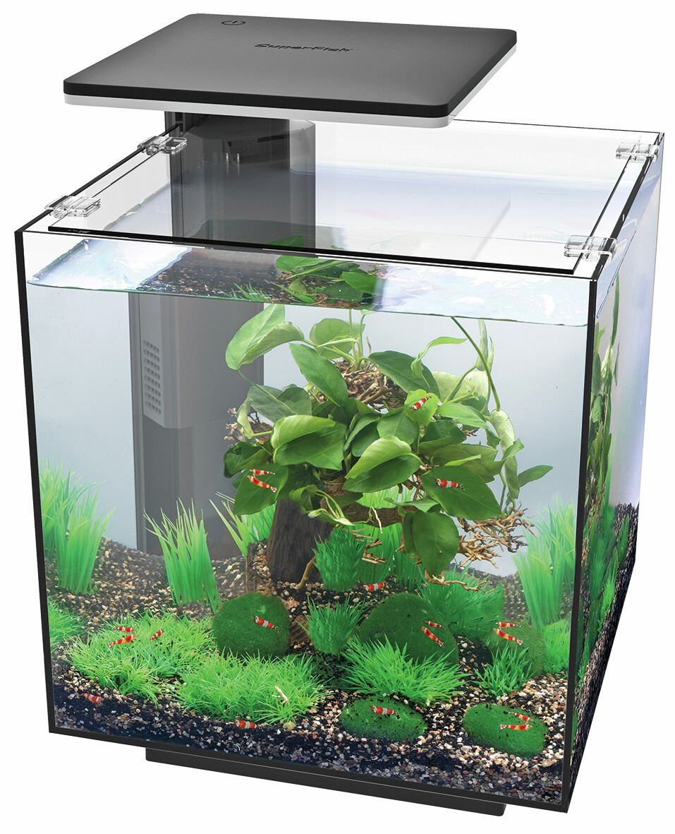 Superfish Home 25 Nano-Aquarium, schwarz, für Garnelen & kleine Fische, inkl. Pflanzen & Mooskugeln, modern & stilvoll.