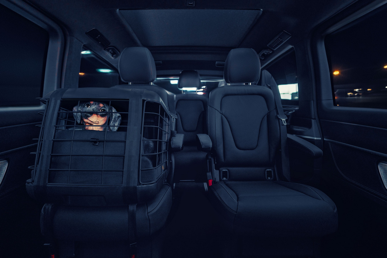 Hundetransportbox 4pets ProLine, für Hunde, sicherer Autotransport, hohe Sicherheitsstandards, Rücksitzbefestigung.