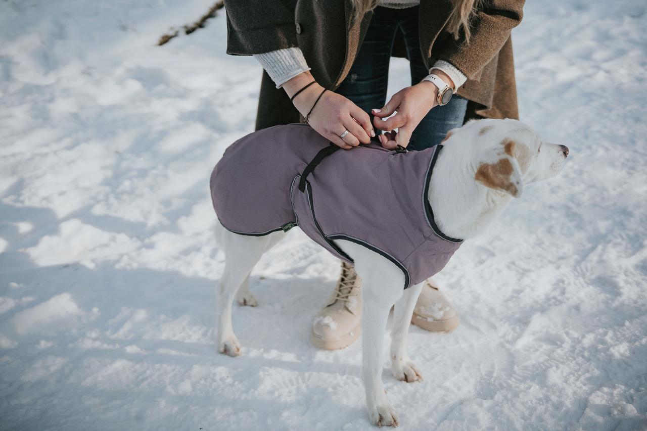 HUNTER Hundejacke, lila, für Hunde, Schutz vor Kälte, ideal für Hundebesitzer im Schnee, Komfort & Wärme.