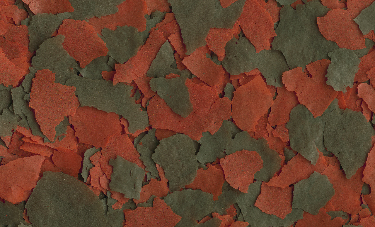 Tetra TetraMin Flockenfutter, für Zierfische, ausgewogene Ernährung, fördert Gesundheit & Farben, ideal für Süßwasserfische.