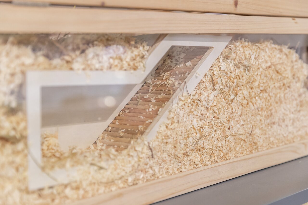 Holz-Kleintierkäfig von TRIXIE mit Streu und transparenter Front, geeignet für Nager wie Hamster oder Mäuse, zeigt ein Rampendesign.