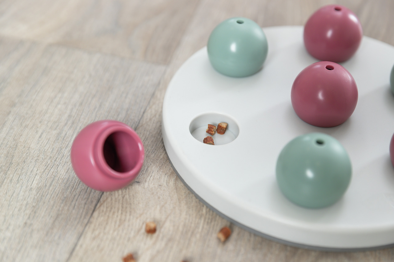 Das Bild zeigt das Intelligenzspielzeug „TRIXIE Dog Activity Flip Board“ für Hunde. Es besteht aus einer weißen Kunststoffplatte mit mehreren rosa und grünen Hütchen, unter denen Leckerlis versteckt werden können. Zielgruppe sind Hunde, die geistig geförd