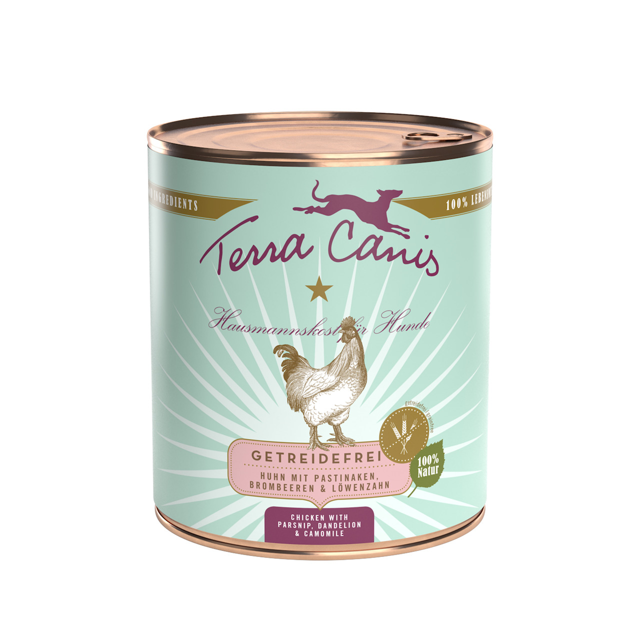 Terra Canis Hausmannskost Huhn m. Pastinaken, Brombeeren & Löwenzahn, getreidefrei, 100 % natürlich, für Hunde, mintgrüne Dose.