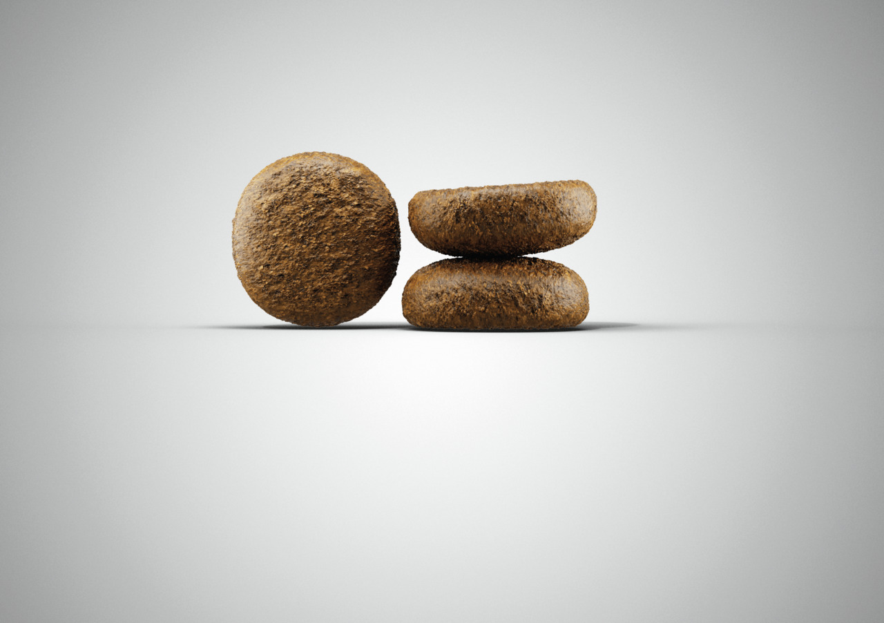 Das Bild zeigt drei runde Kroketten des Hundefutters „Josera SensiPlus“, geeignet für ausgewachsene Hunde mit empfindlichem Verdauungssystem. Die Kroketten sind braun, gleichmäßig geformt und liegen auf einer weißen Oberfläche. Das Produkt ist in der Gesc