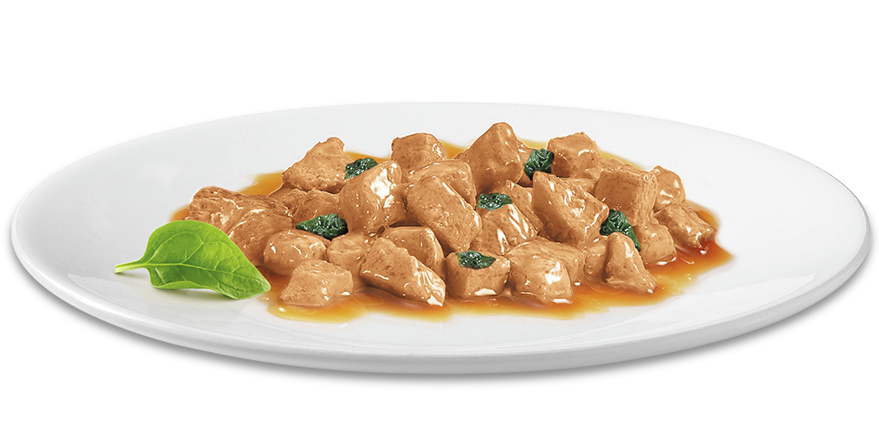 Auf einem weißen Teller sind saftige Fleischstückchen in einer reichhaltigen Soße angerichtet, garniert mit kleinen grünen Kräutern. Links neben dem Teller liegt ein frisches grünes Blatt. Es handelt sich um GOURMET Katzenfutter, geeignet für ausgewachsen