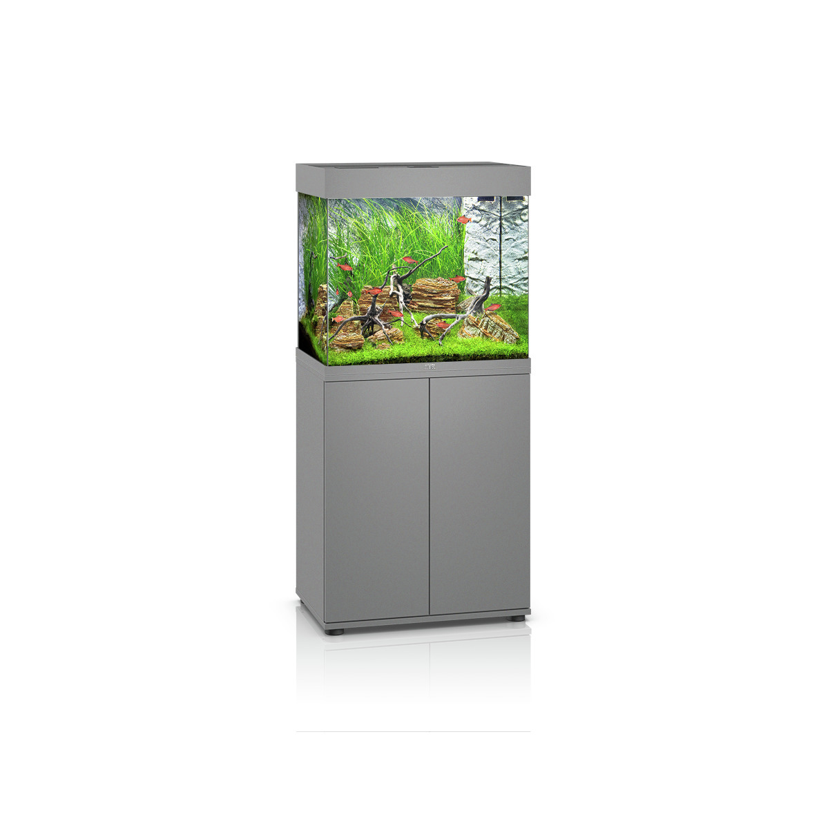 Das Bild zeigt das JUWEL Aquarium-Kombination Rio 125 in Grau, bestehend aus einem rechteckigen Aquarium mit einem passenden Unterschrank. Das Aquarium ist mit Pflanzen, Dekoration und kleinen Fischen ausgestattet. Es richtet sich an Aquaristik-Enthusiast