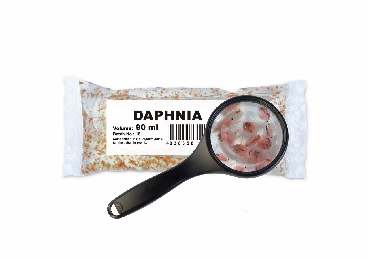 Gefrorene Wasserflöhe von amtra, 90 ml, für Zierfische, natürliche Ernährung, reich an Nährstoffen zur Unterstützung der Vitalität.