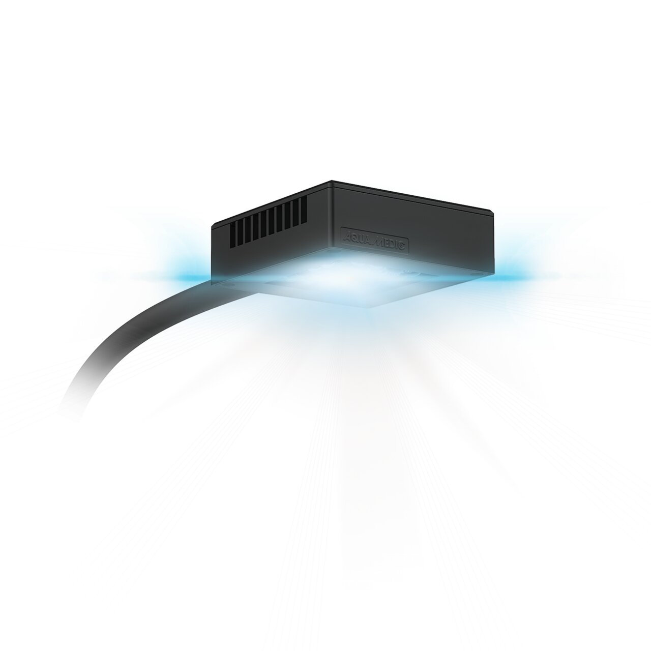 Aqua Medic Qube 50 LED-Lampe, Meerwasseraquarien, Korallen, blau-weißes Licht, fördert Wachstum/Farben, kompakt, schwarz.