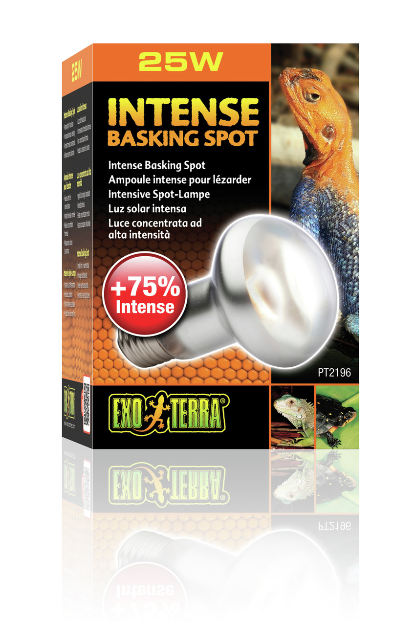 Exo Terra Intense Basking Spot Lampe, 25W, für Reptilien, +75% Intensität, simuliert Sonnenbaden, ideal für Bartagamen.