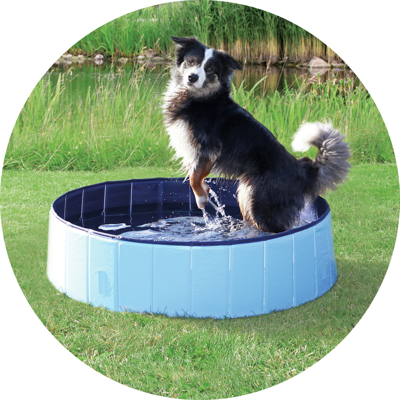 TRIXIE Hundepool Ø70x12 cm petrol/grau