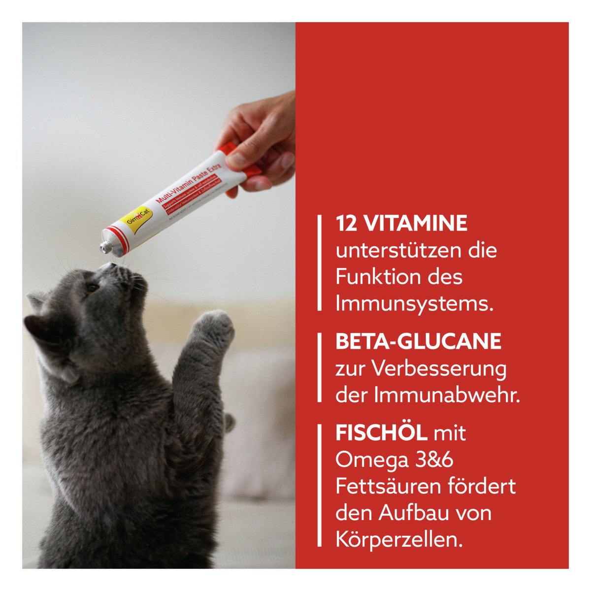 GimCat Multi-Vitamin Paste Extra Katzen Nahrungsergänzung 100 g