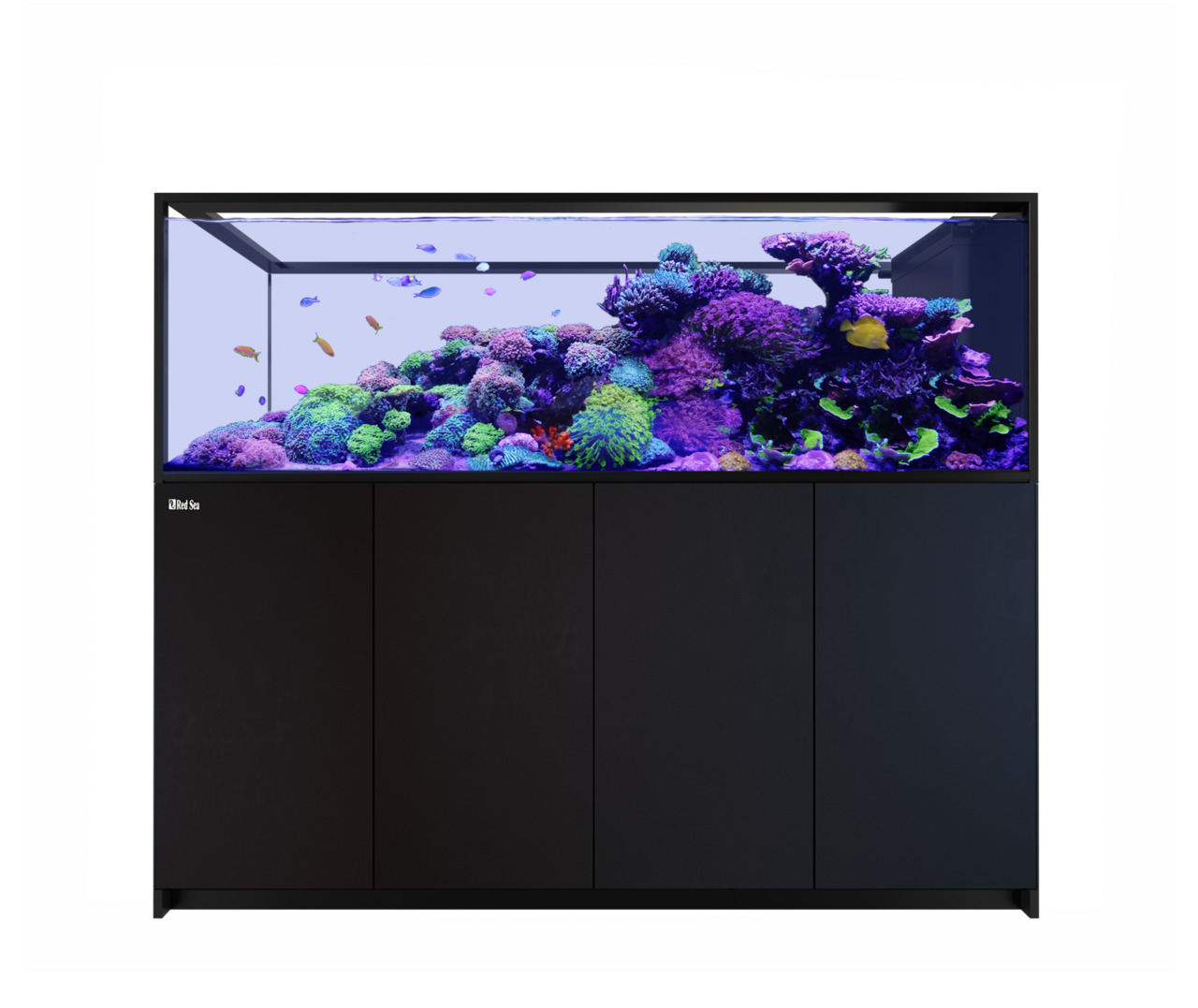 Das Bild zeigt das Red Sea Reefer XXL 750 Aquarium, ein hochwertiges Meerwasseraquarium für erfahrene Aquaristik-Enthusiasten. Es verfügt über ein modernes schwarzes Unterschrankdesign und ein großes Becken mit lebhaften Korallen und tropischen Fischen. I