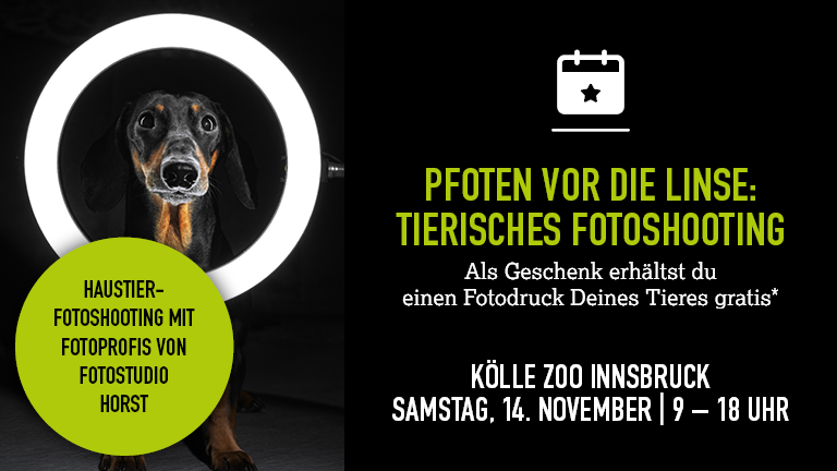 141126 Fotoshooting Innsbruck Mobile 768x432px