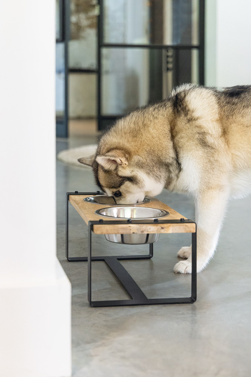 Designed by Lotte Holz Hundenapf Set Karinto 2 x 650 ml