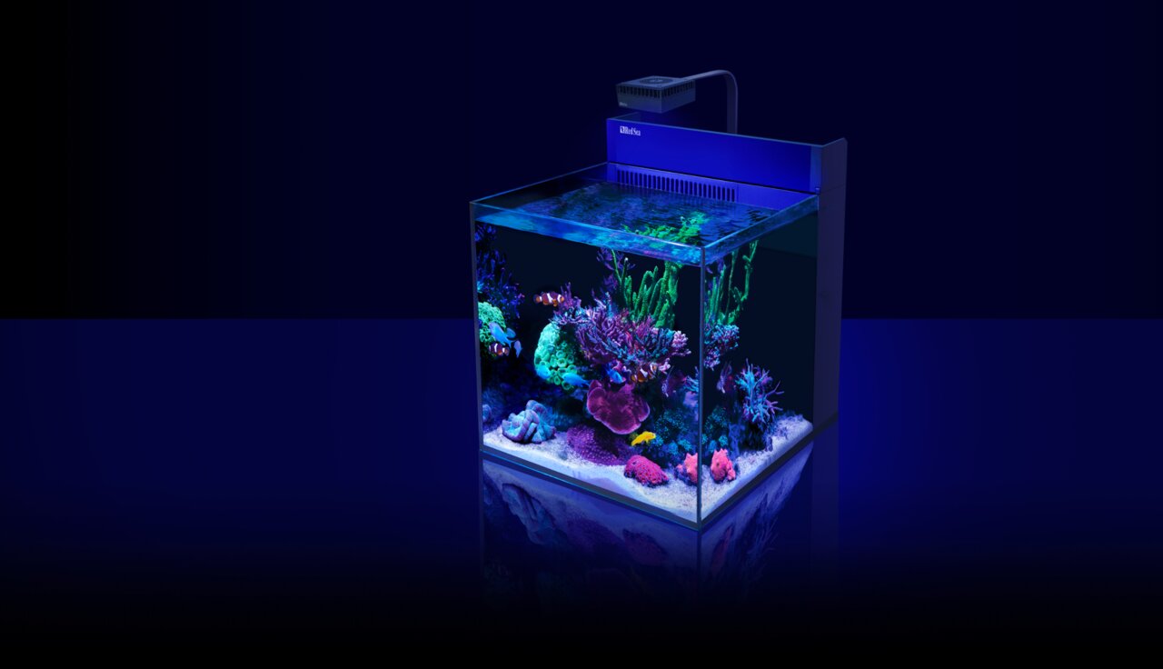 Red Sea MAX NANO Aquarium: Nano-Riffaquarium für Meerwasserliebhaber, mit LED-Beleuchtung, fördert Korallenwachstum, kompakt.