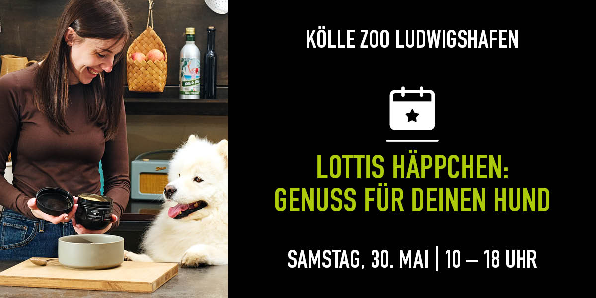 Eine Frau bereitet mit ihrem weißen Hund Futter vor. Napf steht auf Holzbrett. Rechts Infos zum Lottis Häppchen Event.