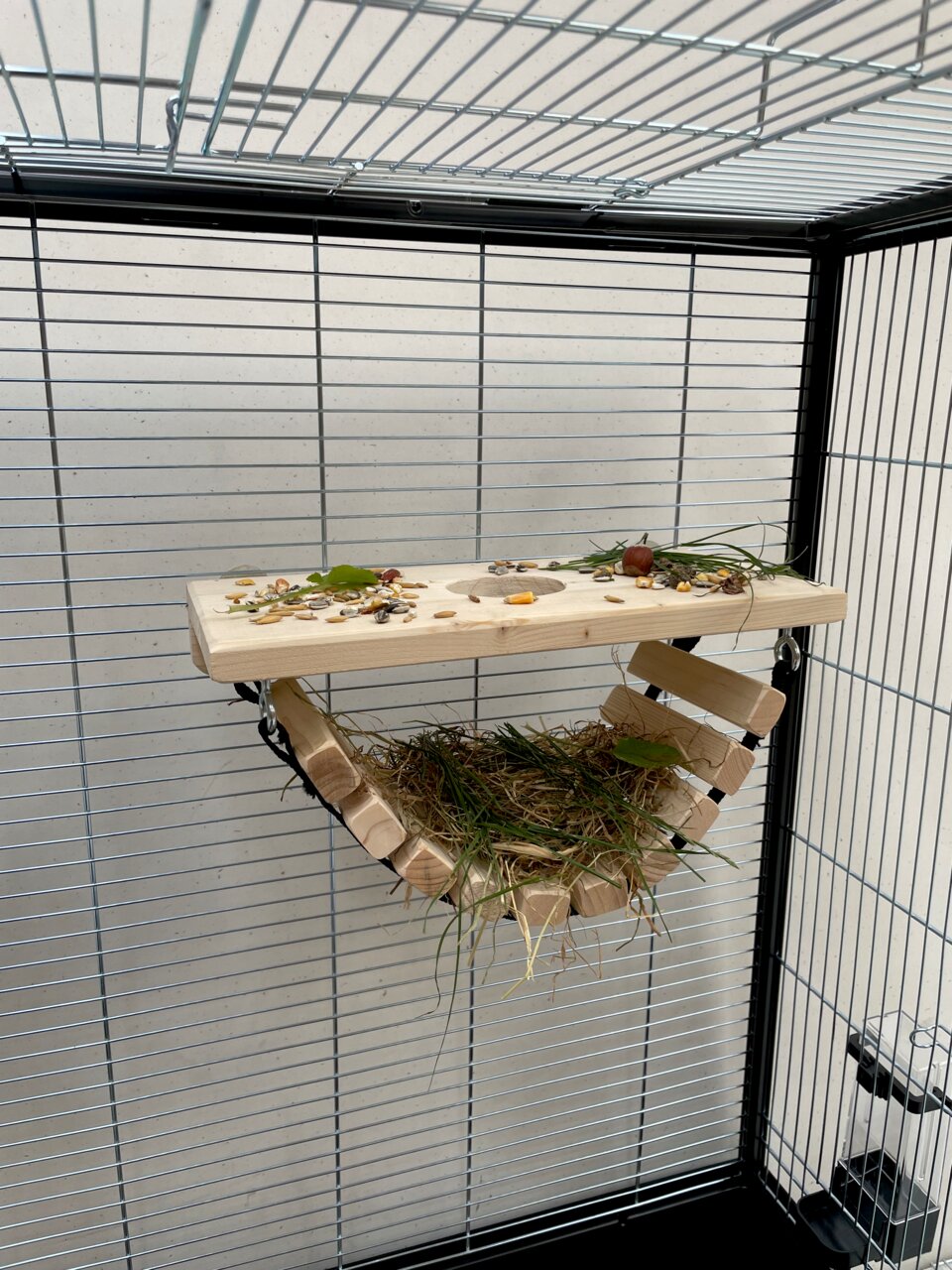 Ollesch Naturholz-Futterbrücke für Kleintiere (Kaninchen-Meerschweinchen), aus Holz mit Gras, Kräutern & Samen, Beschäftigung & Futter.