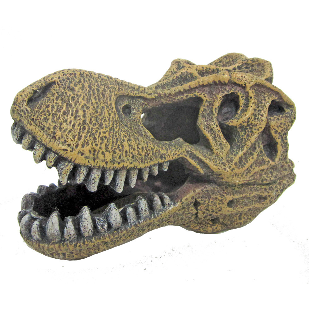 amtra TYRANNOSAURUS SCHÄDEL