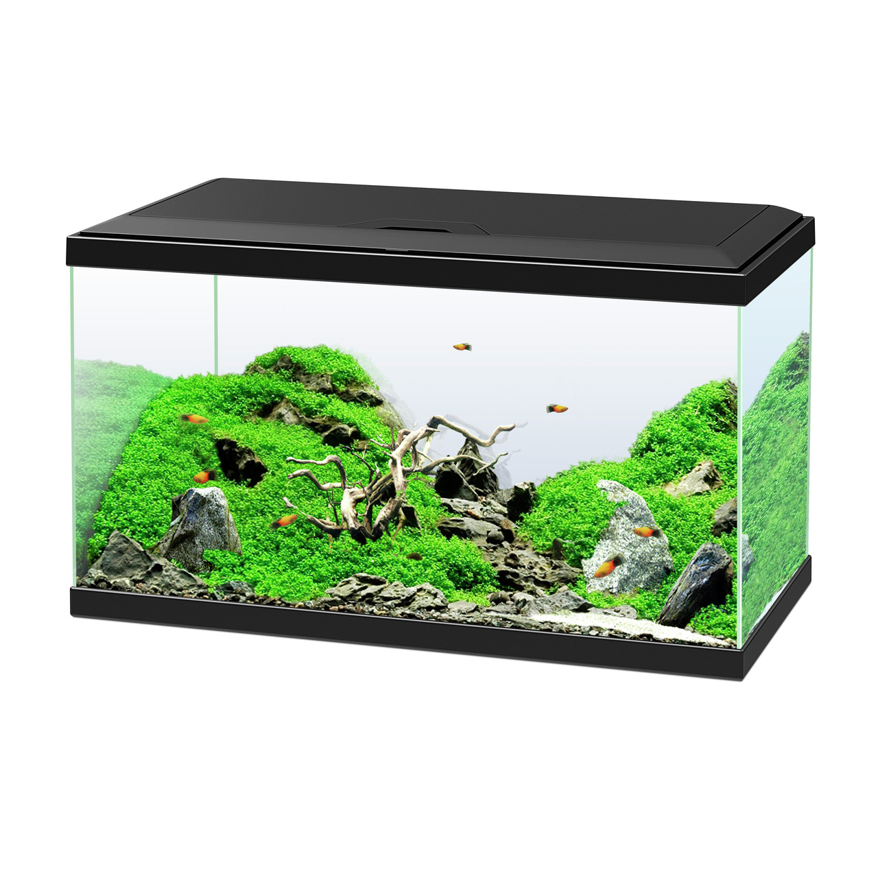 Ciano Aquariumset "Aquarium" 60 schwarz