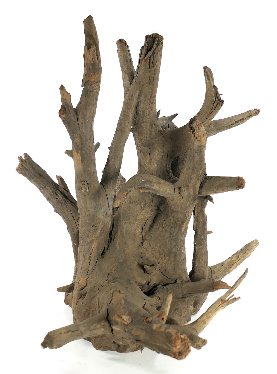 ORBIT Holzdekor, für Aquarien--Terrarienbesitzer, naturbelassen, ideal für Unterwasserlandschaften-Kletterelemente, verzweigt.