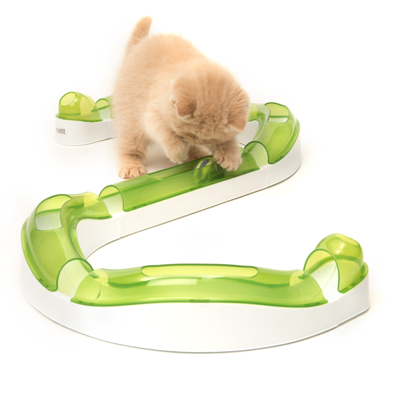 Ein cremefarbenes Kätzchen spielt mit dem Catit Senses 2.0 Spielschienen-Set, das aus weißen und grünen Elementen besteht. Dieses interaktive Katzenspielzeug ist für Katzen jeden Alters geeignet und fördert die Bewegung sowie die geistige Stimulation. Ide
