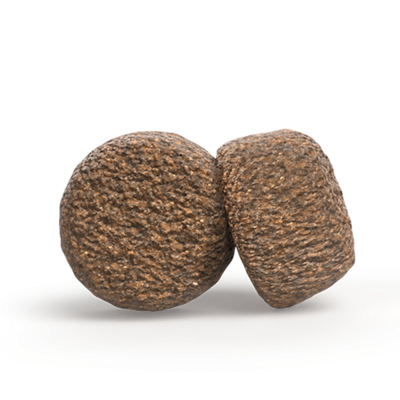 Nahaufnahme von zwei braunen, runden Kroketten des Trockenfutters „Josera“. Größe und Struktur sind deutlich sichtbar.