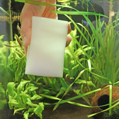 HOBBY Reinigungsschwamm für Aquarienglas, ideal für Aquarien, entfernt Algen & Schmutz, handlich, für klares Wasser.