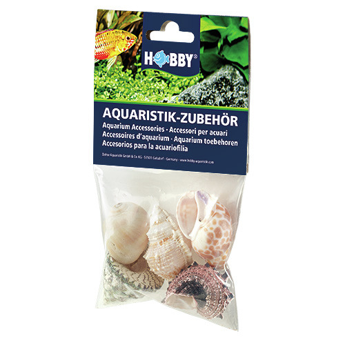 HOBBY Aquaristik-Zubehör: Für Aquarienbesitzer, dekorative Muscheln & Schneckenhäuser, durchsichtig, Inhalt gut sichtbar.