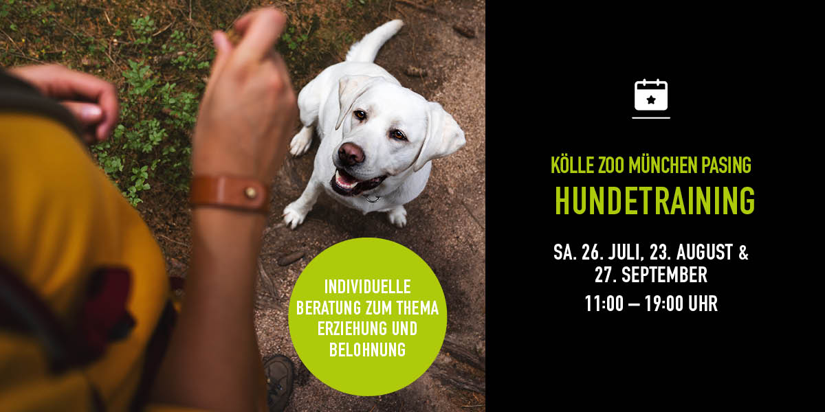 260725 230825 270925 Event Hundetraining Mpasing Nl