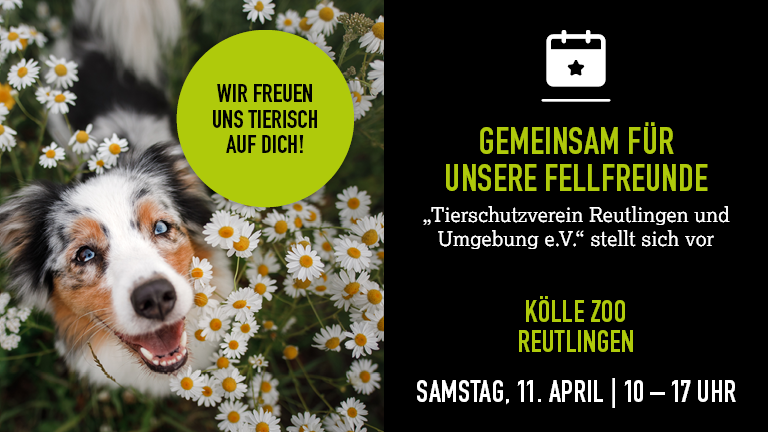 110426 Fellfreunde Reutlingen Mobile 768x432px