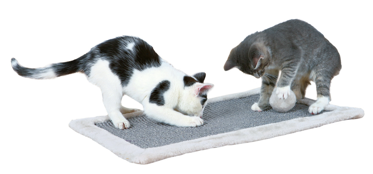 Zwei Katzen spielen auf einer grauen Kratzmatte von TRIXIE, die mit einem weichen, beigen Rand versehen ist. Die Zielgruppe sind Katzen. Die Matte enthält ein integriertes Spielzeug in Form eines Balls, das die Neugier und den Spieltrieb der Tiere fördert