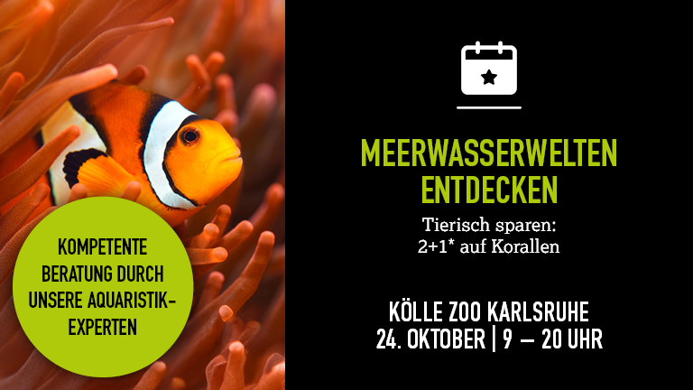 241026 Meerwassertag Karlsruhe Mobile 768x432px