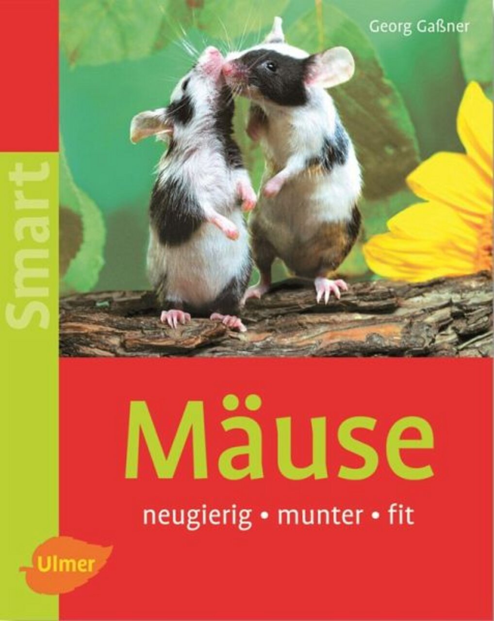 Buch „Mäuse: neugierig, munter, fit“ v. Georg Gaßner, Ulmer Verlag. Lebendige Mäuse vor grünem Hintergrund mit Blume.