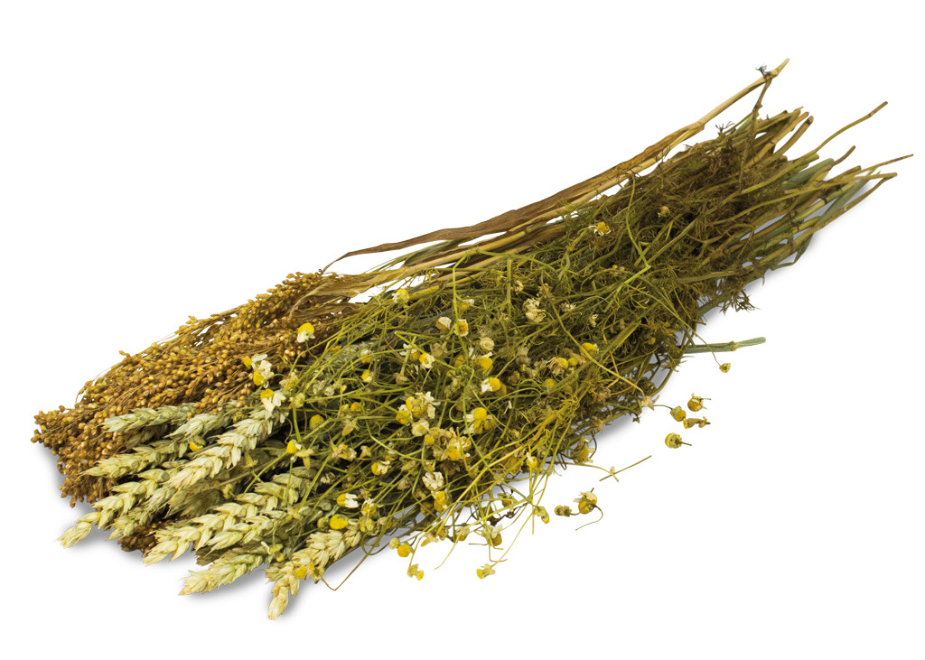 JR FARM Ernte-Strauß, Snack f. Kleintiere (Kaninchen, Meerschweinchen, Hamster), Getreideähren & Kamille, 100% nat., z. Zahnabrieb.