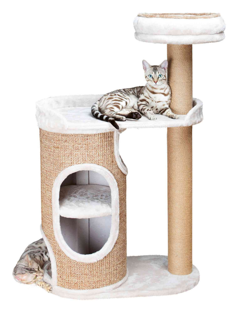 Ein Kratzbaum der Marke TRIXIE, Modell „Nataniel“, geeignet für Katzen. Der beige-braune Kratzbaum bietet mehrere Ebenen, eine Höhle mit weichem Innenpolster, Sisalstämme zum Kratzen und eine gepolsterte Liegefläche. Zwei Bengal-Katzen nutzen den Kratzbau
