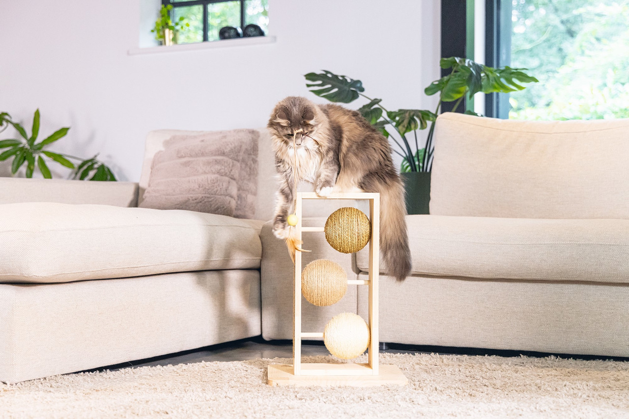 Kratzbaum „Designed by Lotte“ für Katzen, Holzrahmen, 3 Sisal-Kratzflächen, modern, hochwertig, ideal für aktives Spielen.