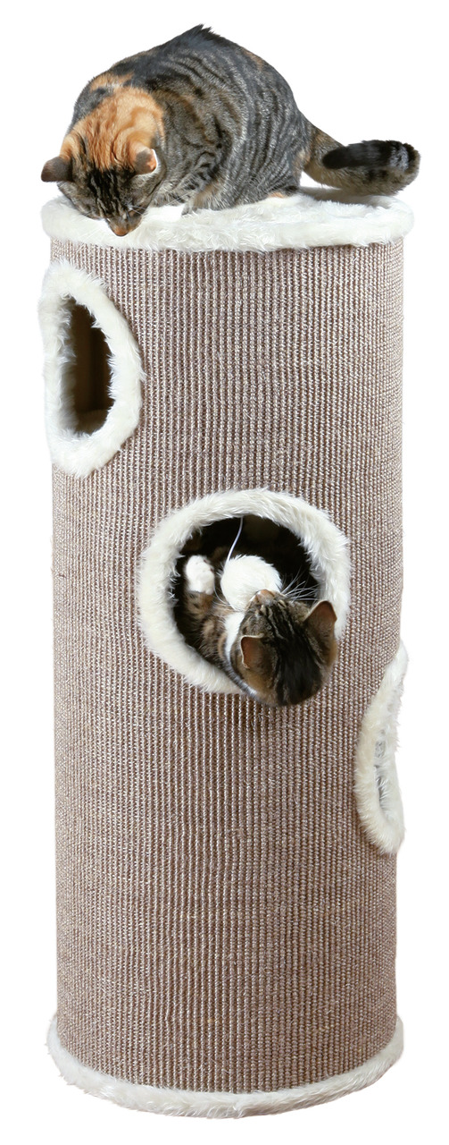 TRIXIE Kratzbaum, zylindrisch, für Katzen, mit Plüschrand & Sisal, fördert Bewegung & Krallenpflege, ideal für aktive Katzen.