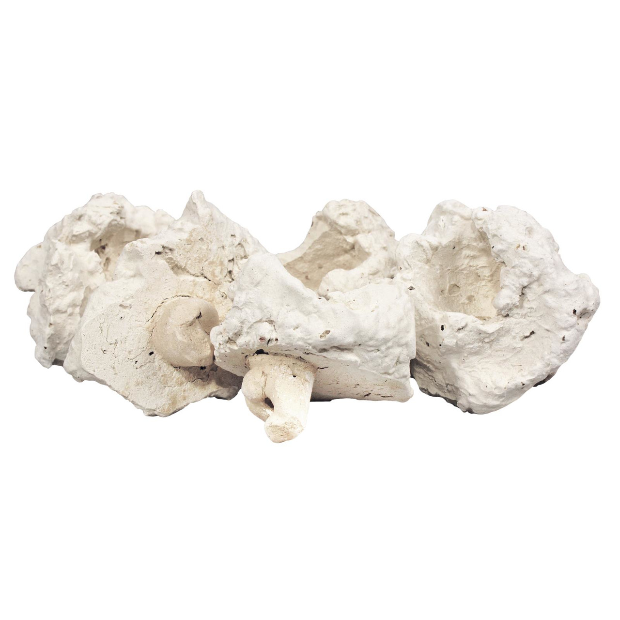 Das Bild zeigt das Produkt "Aqua Medic Reef Ceramic", eine weiße, poröse Keramikstruktur, die speziell für Meerwasseraquarien entwickelt wurde. Es dient als biologisches Filtermaterial und Lebensraum für nützliche Bakterien. Zielgruppe sind Aquarienbesitz