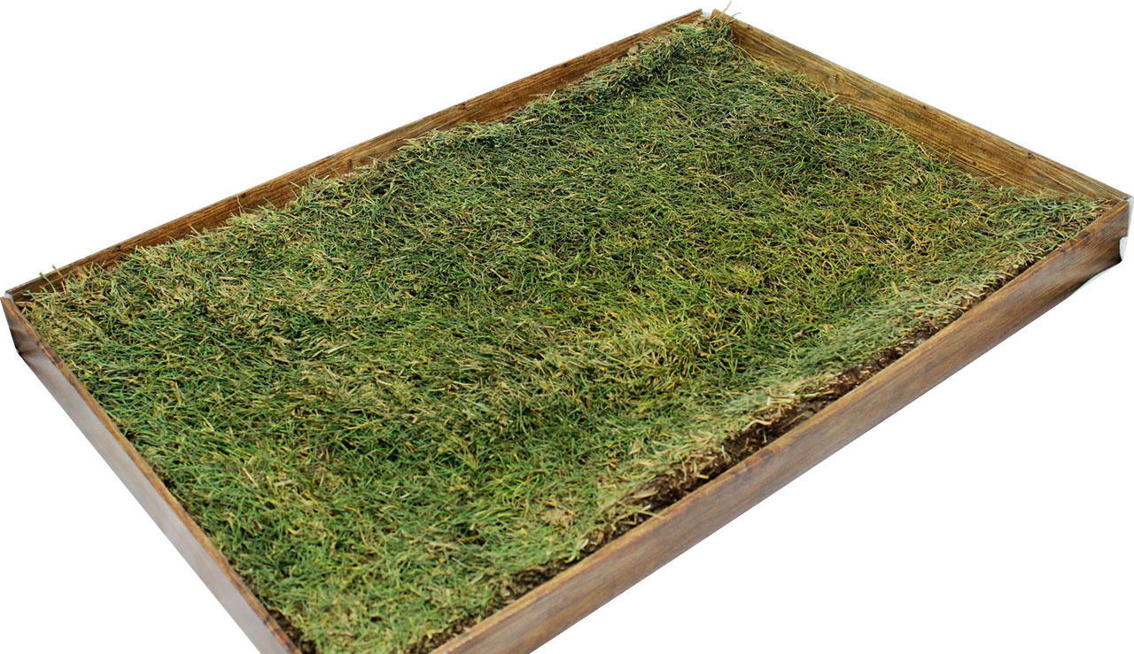 Das Bild zeigt das Produkt „JR FARM Heu-Wiese im Holzrahmen“, geeignet für Kleintiere wie Kaninchen und Meerschweinchen. Die natürliche Wiese im rechteckigen Holzrahmen bietet eine gesunde Beschäftigung und dient als Futterquelle. Die Menge ist auf dem Bi