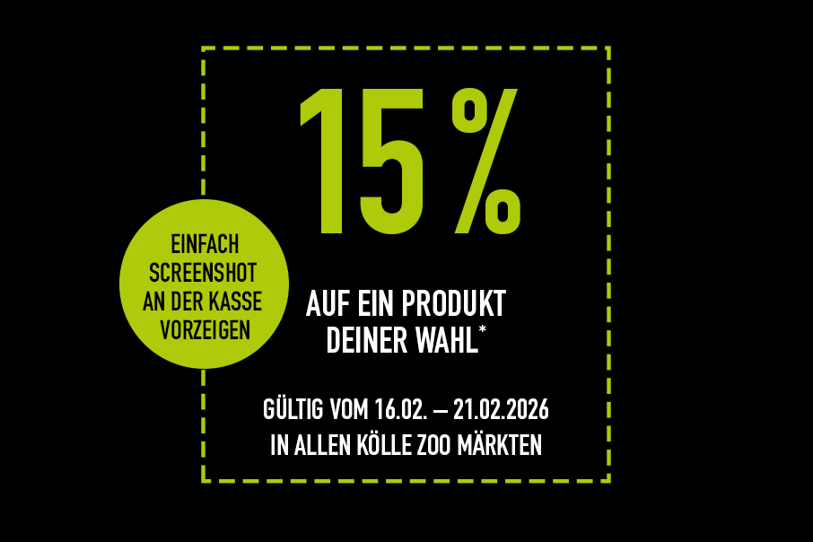 Ldht 2026 15p Markt Lp