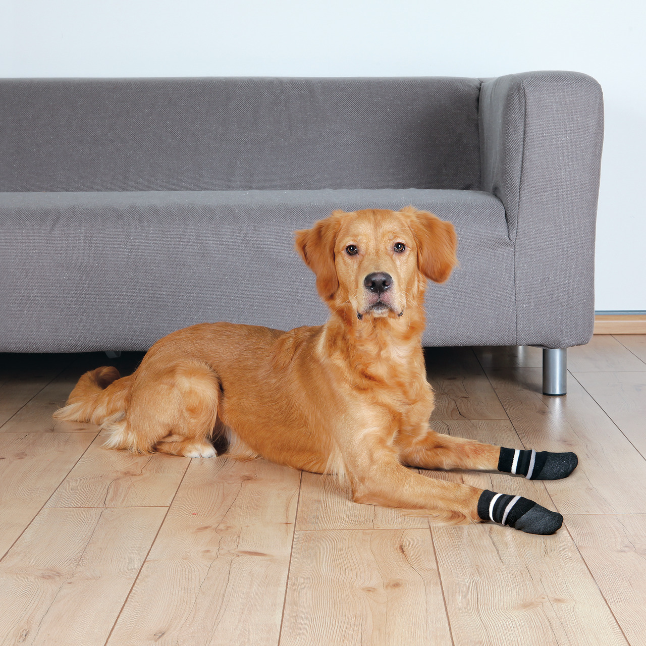 TRIXIE Hundesocken, schwarz-weiß, für Hunde, Schutz für empfindl. Pfoten, rutschfest, verbessert Halt auf glatten Böden.