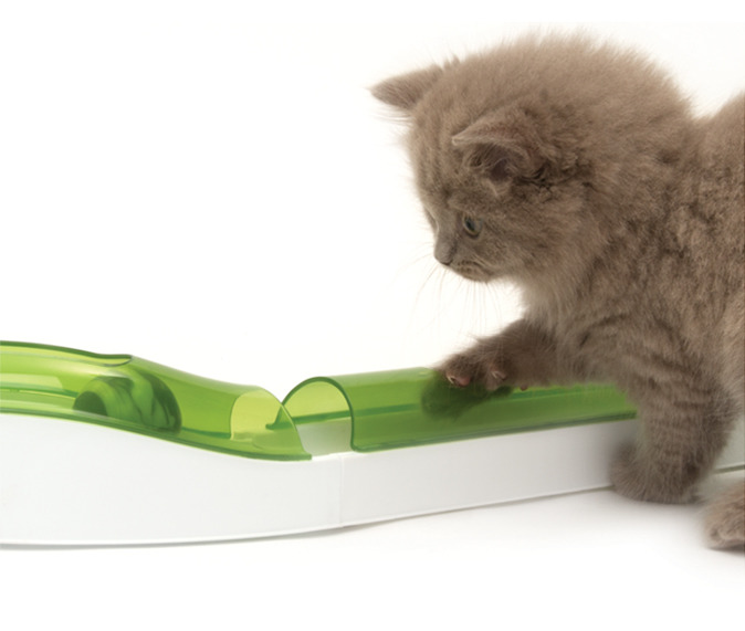 Catit Senses 2.0 Spielschienen-Set für Katzen, interaktives Spielzeug zur Sinnesstimulation, weiß-grün, gegen Langeweile.