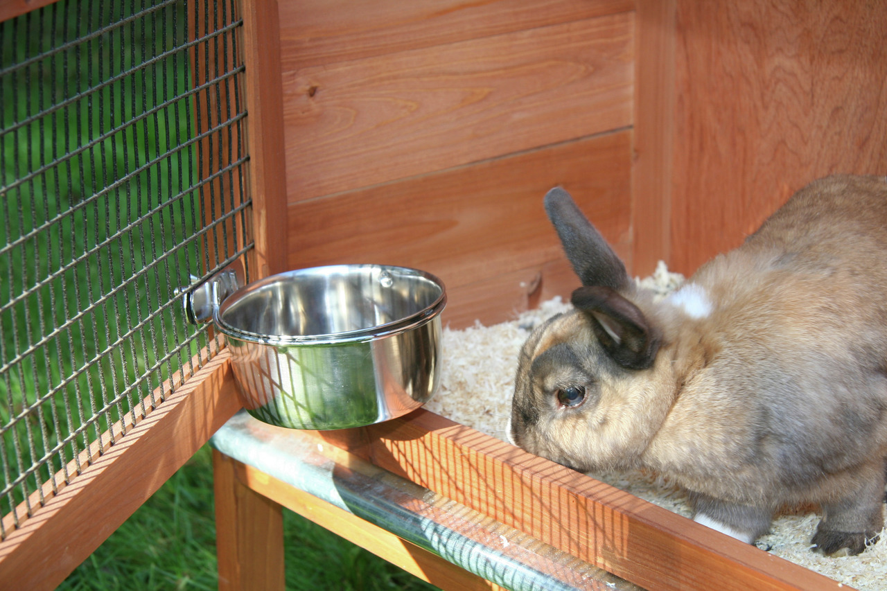 KERBL Edelstahlnapf, für Kleintiere (z. B. Kaninchen), robust, hygienisch, leicht zu reinigen, zur Befestigung an Gitterwand.