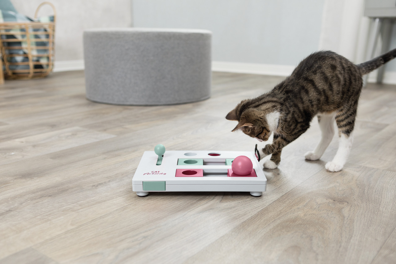 TRIXIE Cat Activity Fun Board, interaktives Spielzeug f. Katzen, fördert Geschicklichkeit & Intelligenz, mit Schiebern & Kugeln.