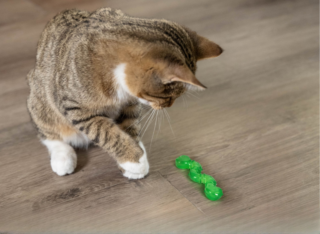 Auf dem Bild ist eine getigerte Katze zu sehen, die auf einem Holzboden mit einem grünen Spielzeug von Outward Hound spielt. Das Spielzeug ist speziell für Katzen entwickelt und fördert spielerisch die Aktivität und den Jagdinstinkt. Zielgruppe sind Katze