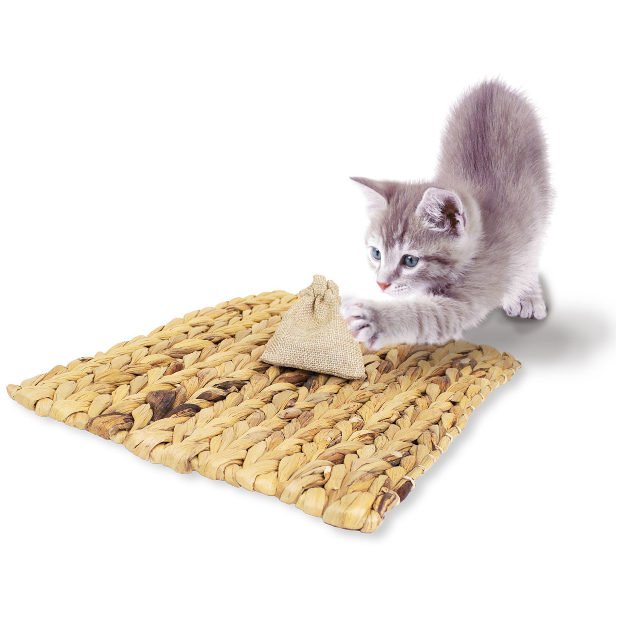 Das Bild zeigt das Produkt „JR FARM Katzen-Spielmatte mit Baldrian“ für Katzen. Es handelt sich um eine geflochtene Matte aus Naturmaterialien, auf der ein kleiner Jutebeutel mit Baldrian liegt. Eine junge, grauweiße Katze spielt neugierig mit dem Beutel.