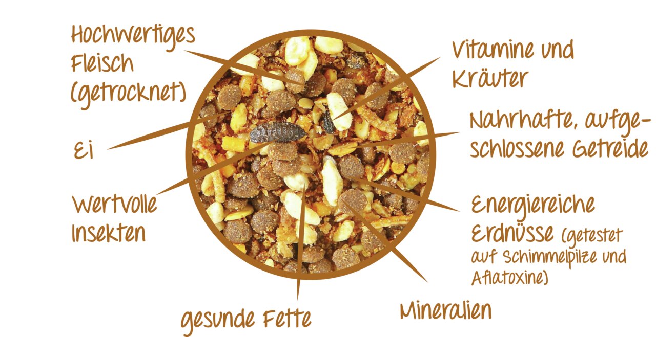 Claus Premium Insekten-Mix, Wildvögel, getr. Fleisch-Insekten, Vitamine, Kräuter, Erdnüsse, 500g, ausgewogene Ernährung.