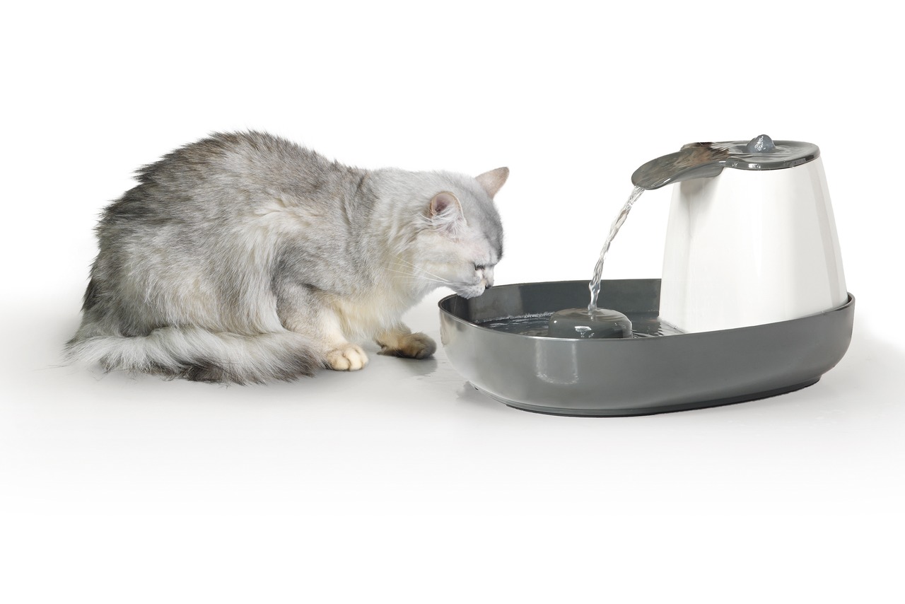 SAVIC Trinkbrunnen für Katzen & kl. Hunde, graue Schale, weißer Behälter, fördert Flüssigkeitsaufnahme, frisches zirkulierendes Wasser.